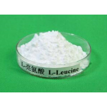 Amino Acid L-Leucine for Food &amp; Feed Additive